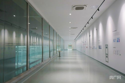 青聽經(jīng)濟之聲丨動能集聚添活力 西引力澎湃升級 技術(shù)服務